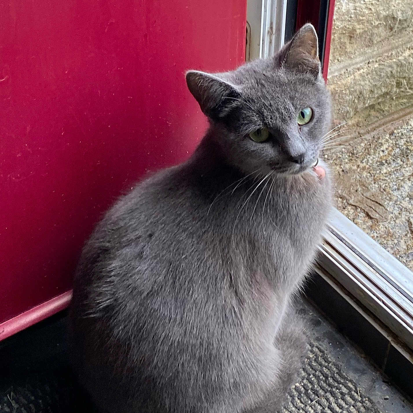 Bella