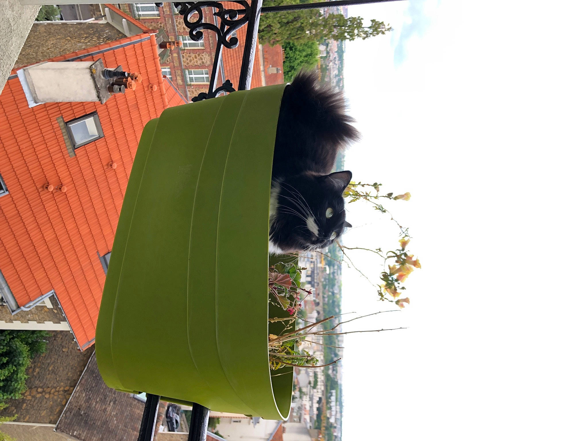 Bountie participe au concours pour gagner de l'argent avec cette photo : art, building, cloud, cottage, facade, grass, house, landscape, leaf, leisure, plant, pole, reflection, roof, room, shadow, sky, tints_and_shades, tree, wheel