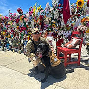 Truckie is registered to the contest to win money with this photo: soldier, dog, service_dog, camouflage, vest, flowers, memorial, flag, red_chair, stuffed_animals, sidewalk, sunny_day, blue_sky, outdoor, person, pet, kneeling, sunglasses, concrete, nature