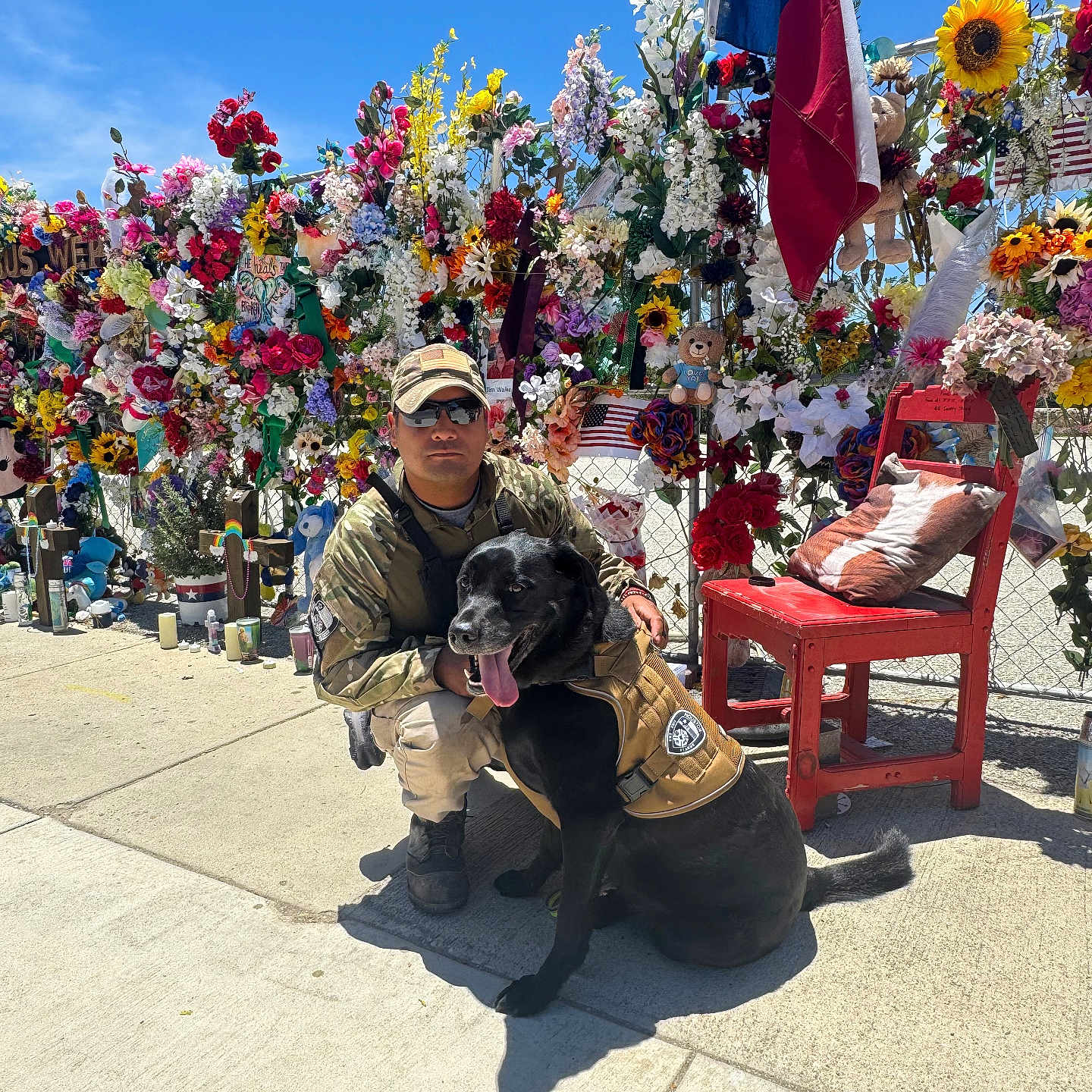 Truckie is registered to the contest to win money with this photo: blue_sky, camouflage, concrete, dog, flag, flowers, kneeling, memorial, nature, outdoor, person, pet, red_chair, service_dog, sidewalk, soldier, stuffed_animals, sunglasses, sunny_day, vest
