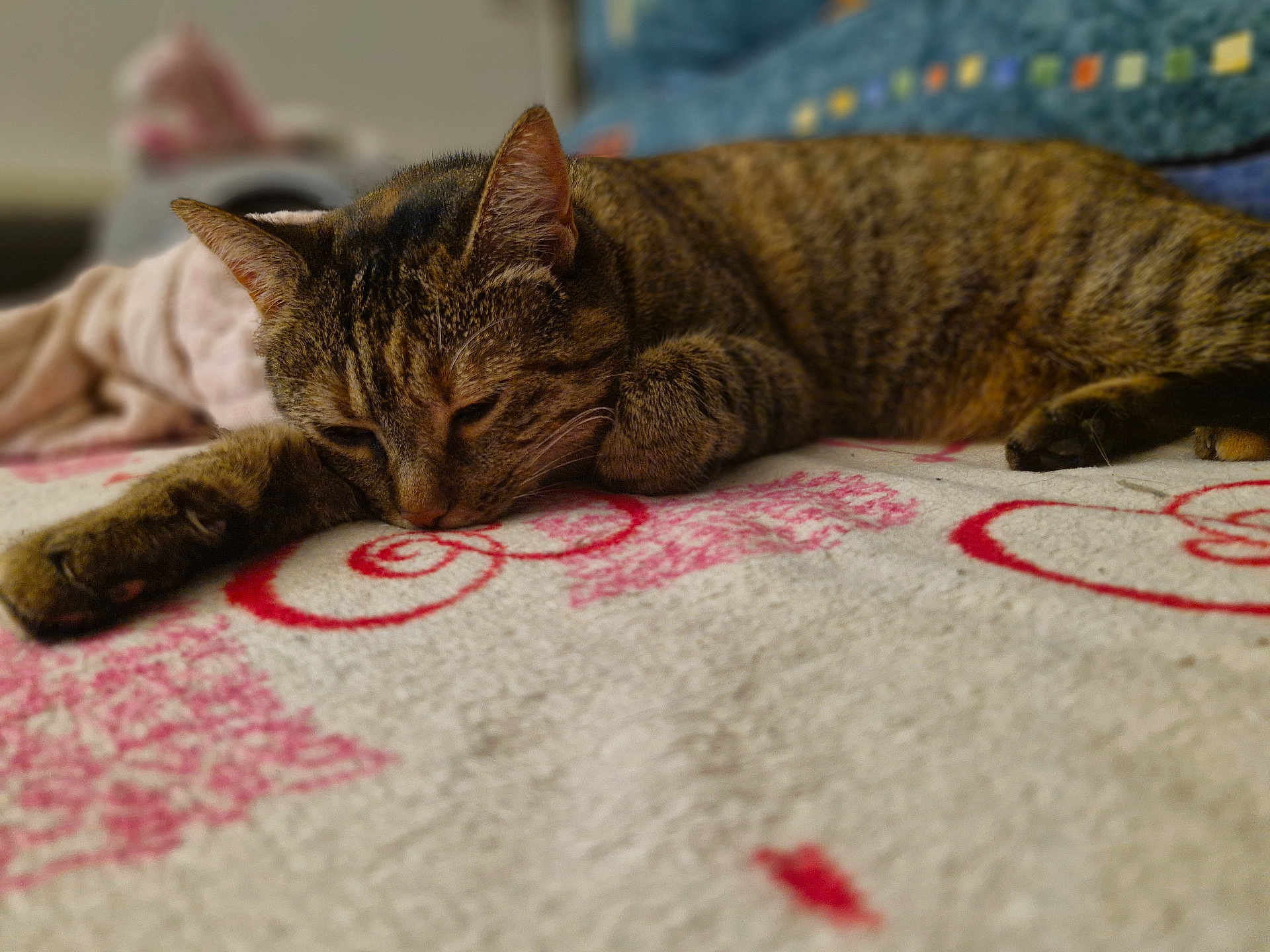 Louna