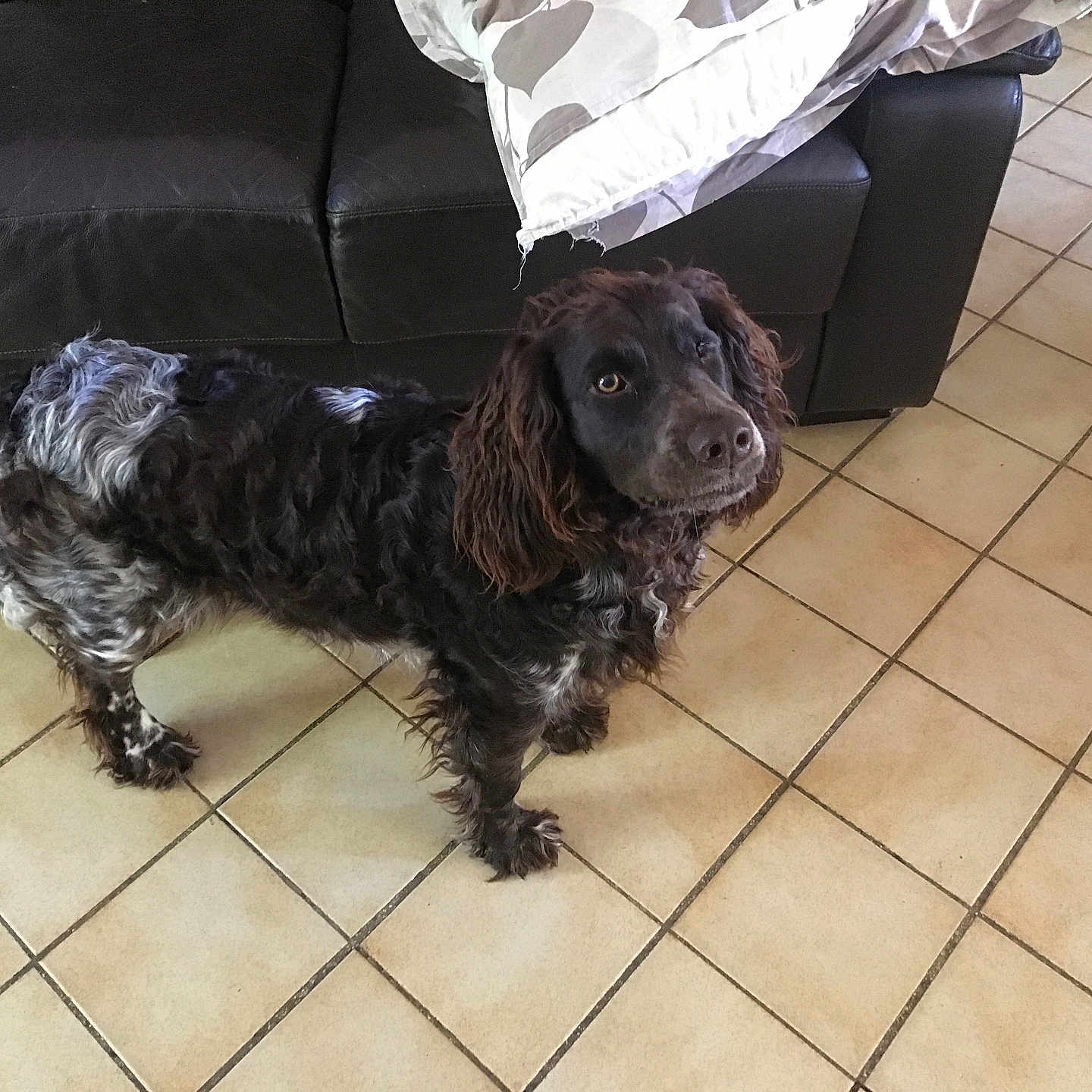 Valka