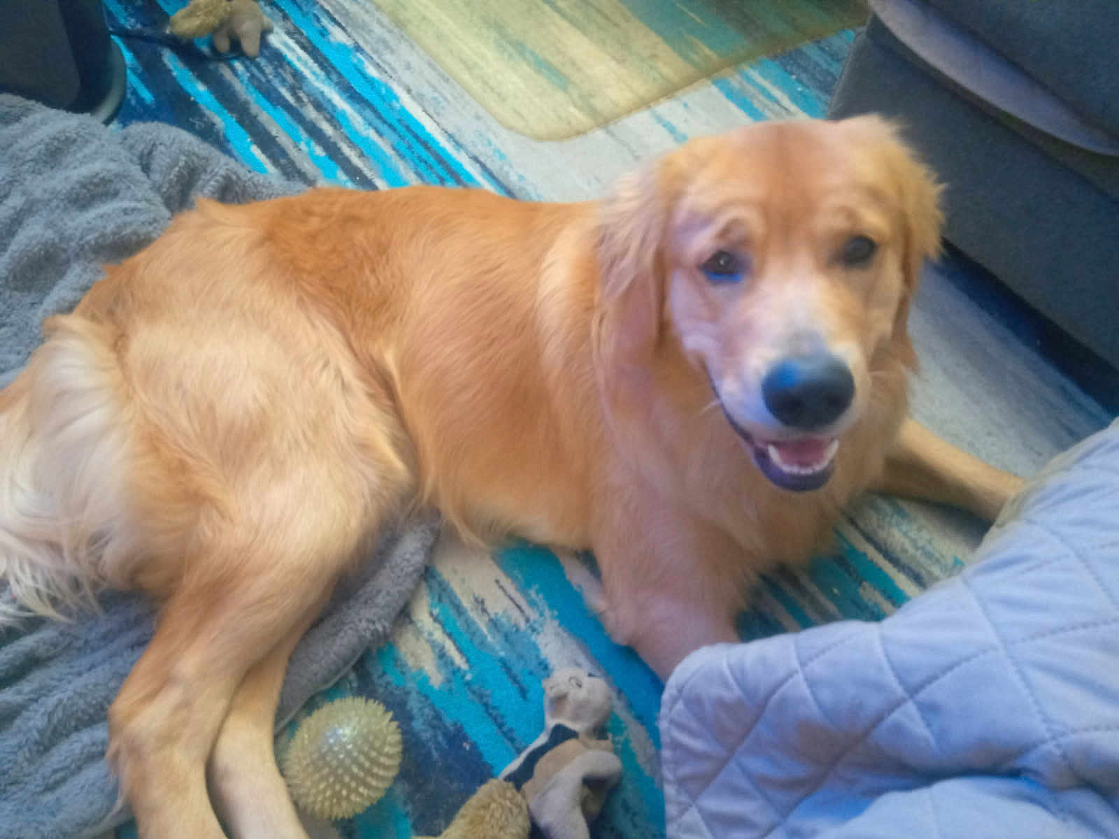 Apollo