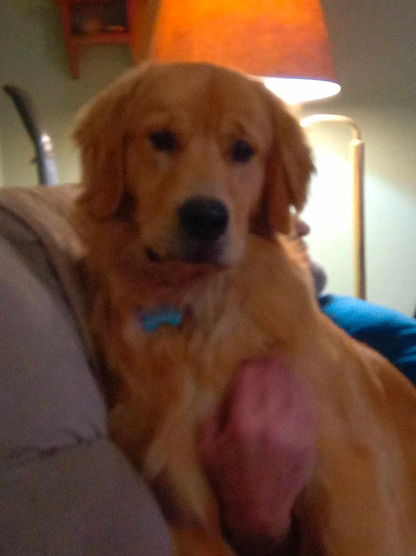 Apollo