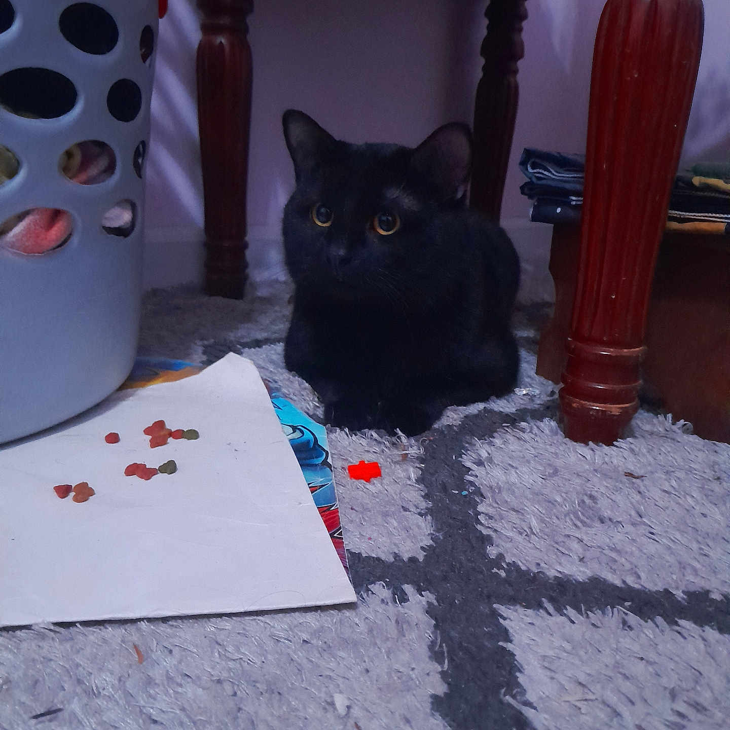 Silas is registered to the contest to win money with this photo: black_cat, cat, indoor, carpet, wooden_table, laundry_basket, paper, floor, pet, animal, furniture, curious, quiet, home, small, domestic, eyes, sitting, shadow, cozy