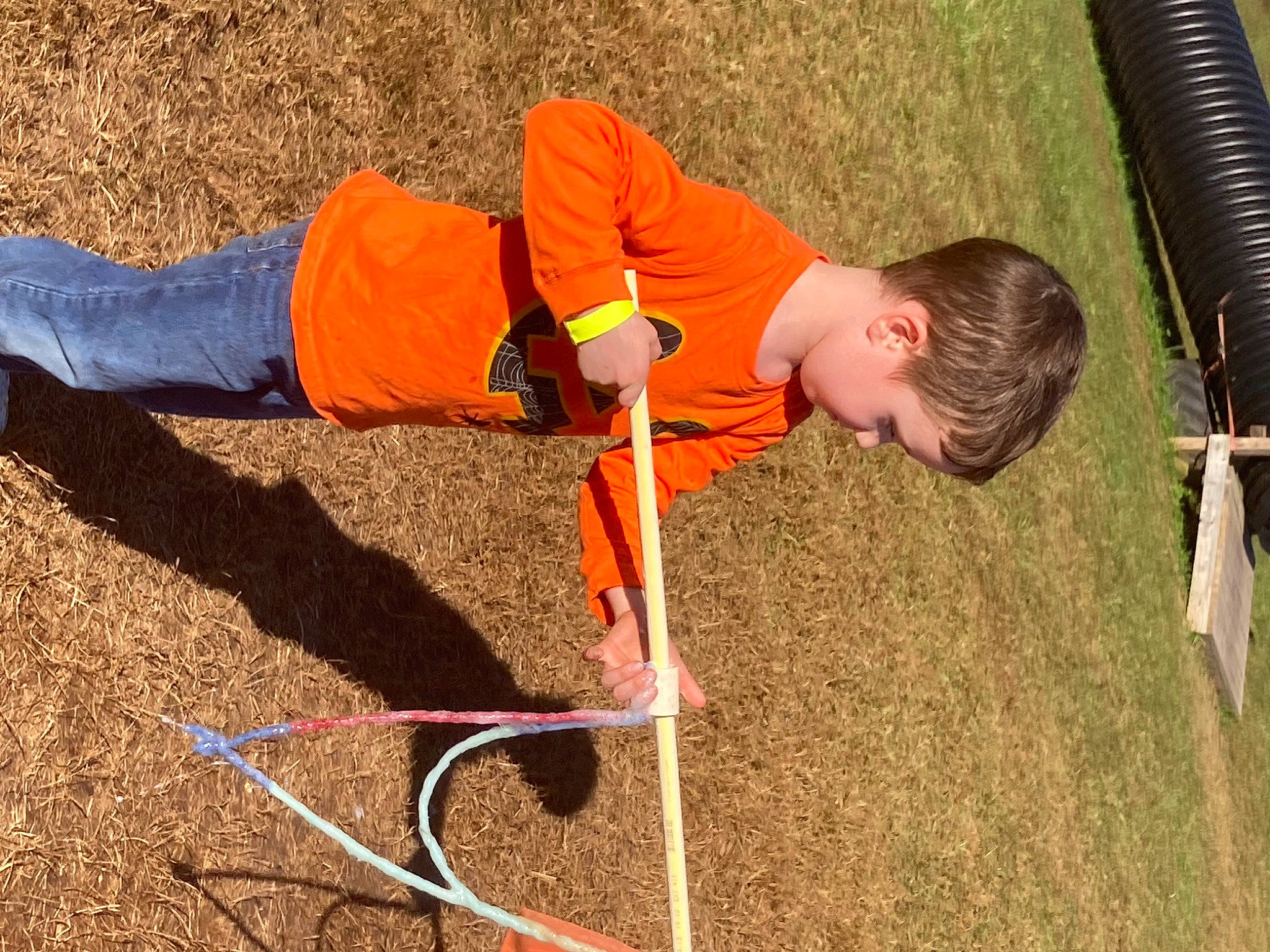 Axel joined the competition — help win amazing prizes! child, fun, grass, leisure, outdoor_play_equipment, people_in_nature, person, play, recreation, soil, toddler, wood