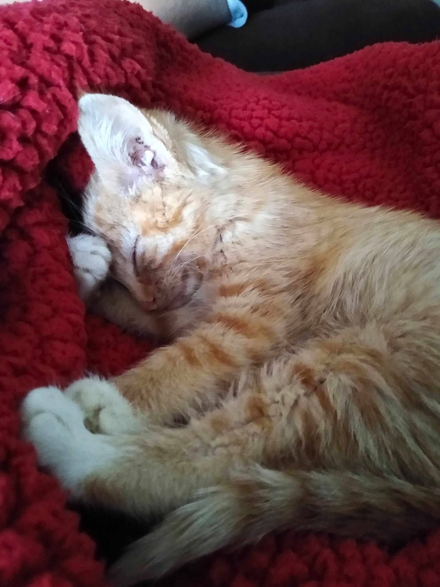 Jonesy
