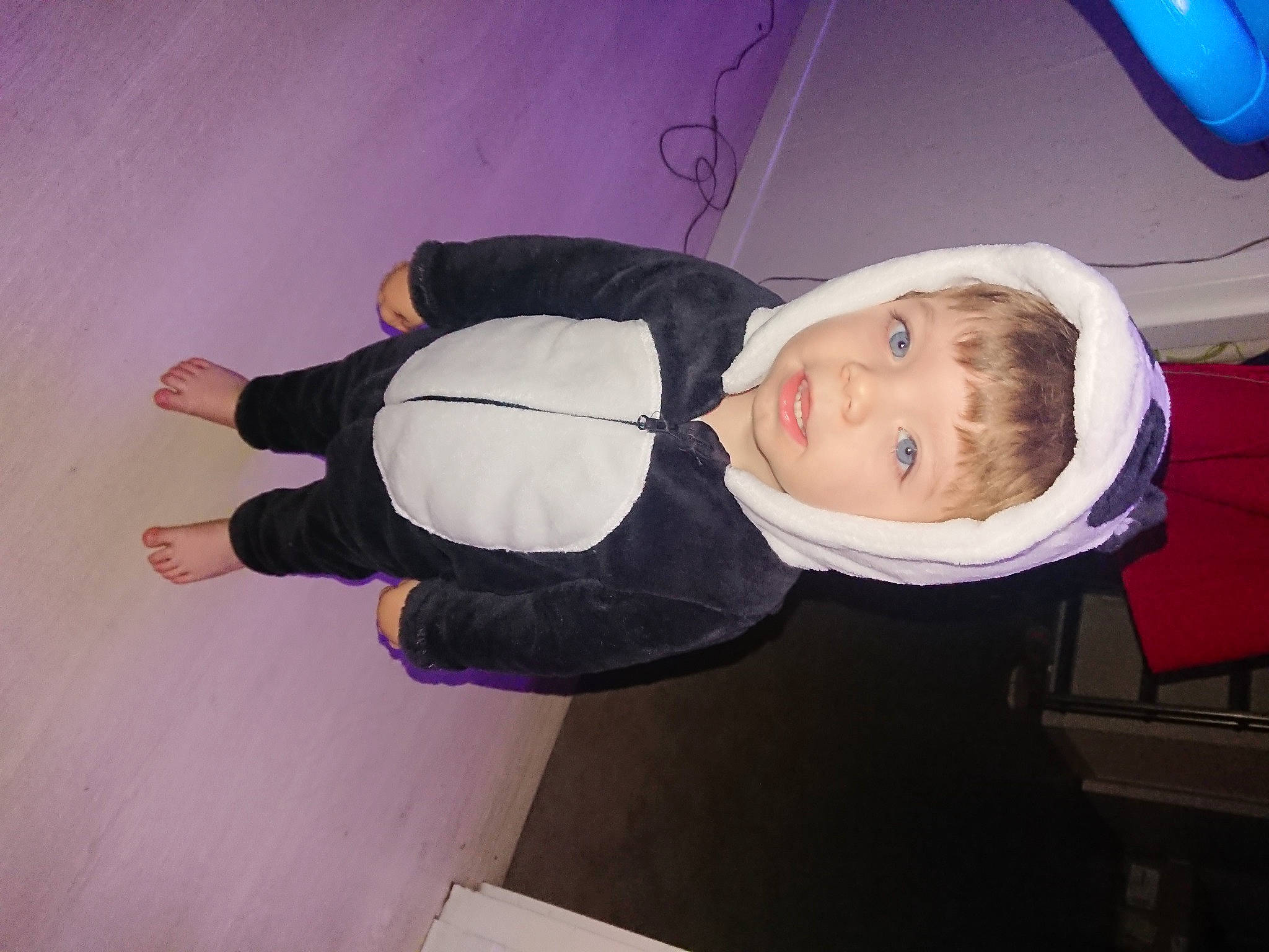 Valentin participe au concours pour gagner de l'argent avec cette photo : baby, baby_toddler_clothing, child, comfort, fun, hat, hoodie, jacket, person, recreation, sleeve, toddler, wrist