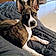 Buster