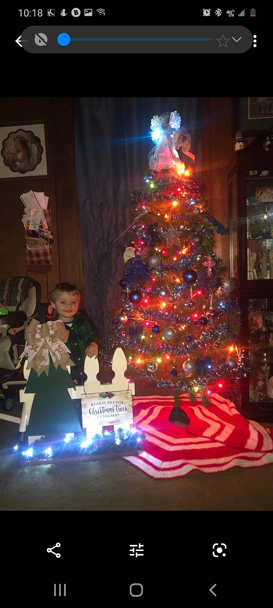 Xander joined the competition — help win amazing prizes! branch, christmas, christmas_decoration, christmas_eve, christmas_lights, christmas_ornament, christmas_tree, conifer, event, fir, holiday, holiday_ornament, interior_design, joy, person, pine, pine_family, plant, spruce, tradition