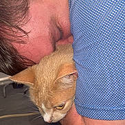 Sim joined the competition — help win amazing prizes! person, cat, cuddle, hug, blue_shirt, ginger_cat, indoor, close_up, affection, pet, animal, fur, face, ear, resting, comfort, human, skin, texture, relaxation