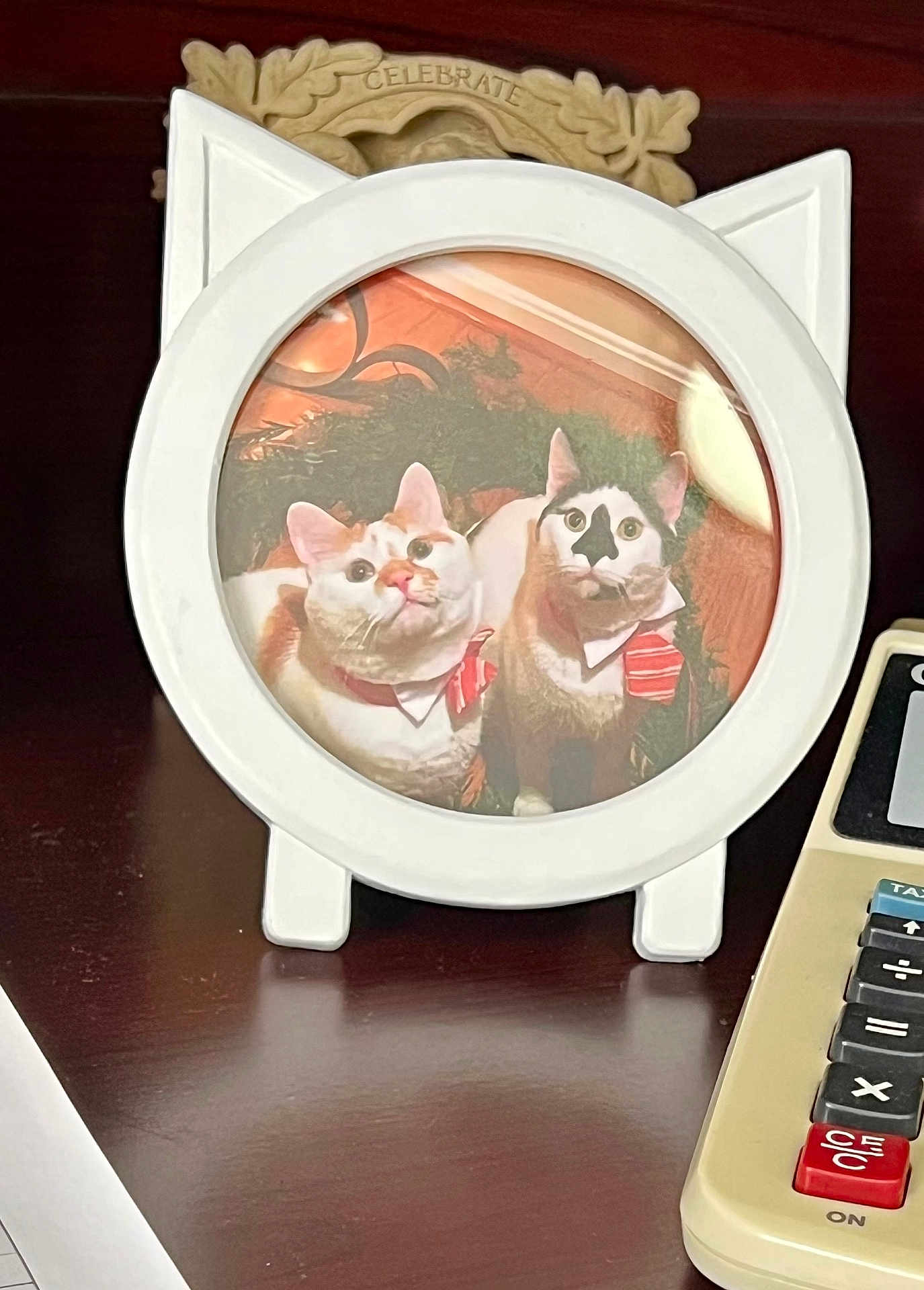 Camilo Francesco is registered to the contest to win money with this photo: cat, photo_frame, cat_ears, table, calculator, wood_surface, decor, portrait, bow_tie, pet, feline, vintage, office, festive, red, white, circular_frame, two_cats, indoor, closeup