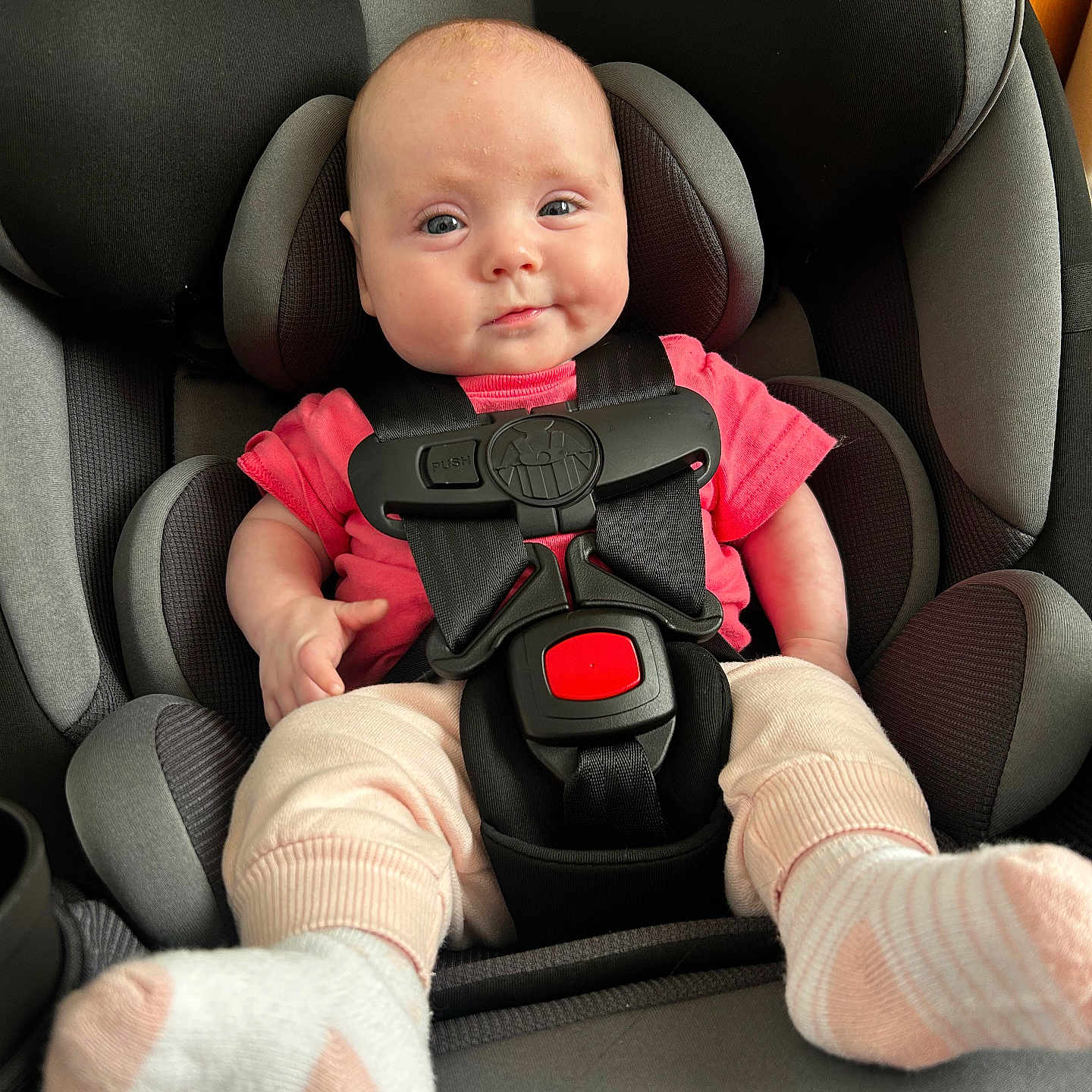 Nova joined the competition — help win amazing prizes! baby, child, car_seat, seat_belt, pink_shirt, socks, infant, smile, face, head, sitting, safety, restraint, cute, indoor, clothing, person, young_child, comfort, car_interior