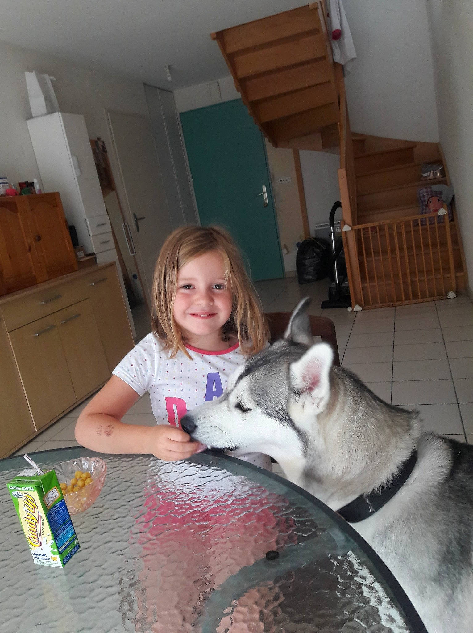 Éloane participe au concours pour gagner de l'argent avec cette photo : alaskan_malamute, carnivoran, dog, dog_breed, dog_breed_group, dog_like_mammal, joy, person, siberian_husky, sled_dog, snout, spitz