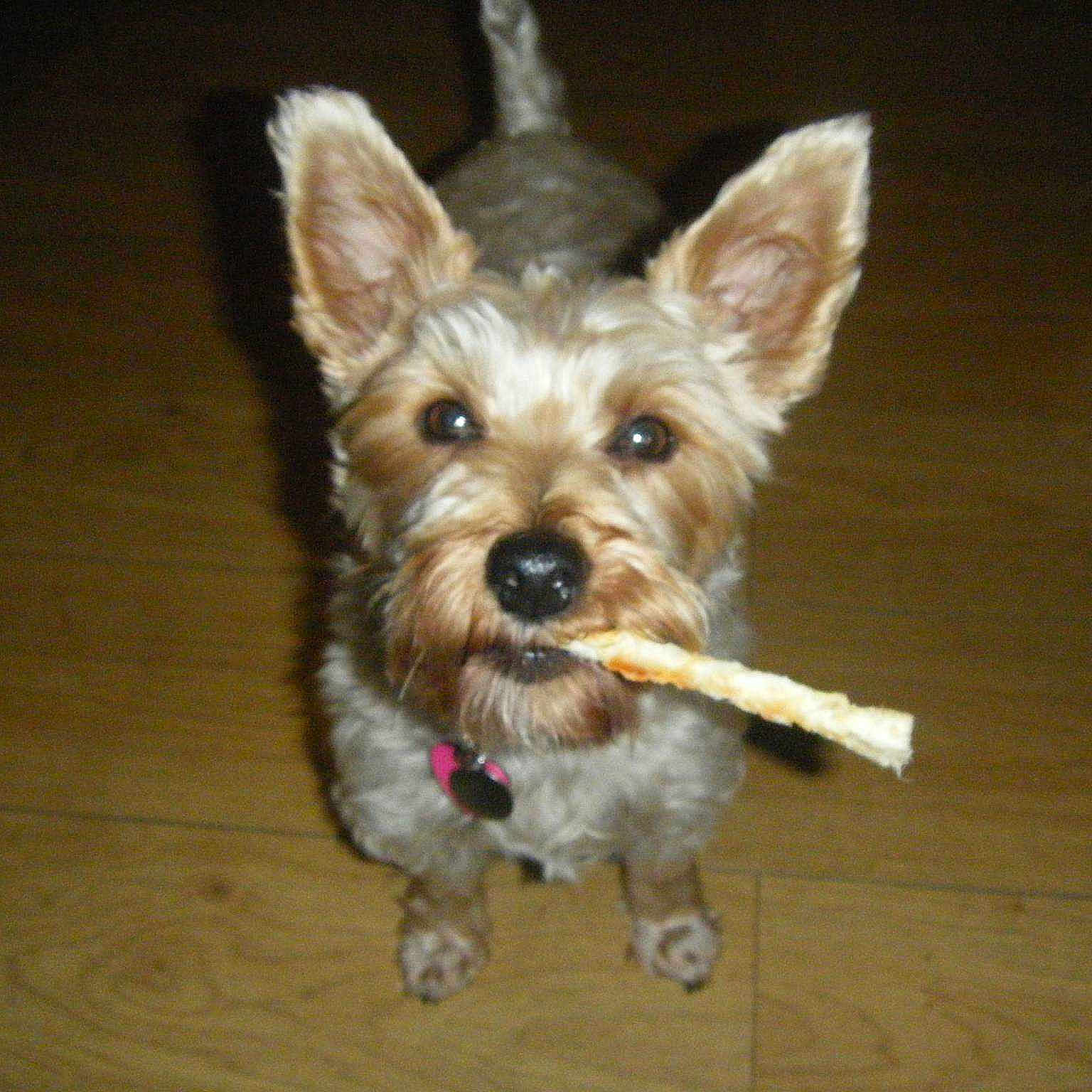 Kali joined the competition — help win amazing prizes!