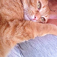 Bb participe au concours pour gagner de l'argent avec cette photo :