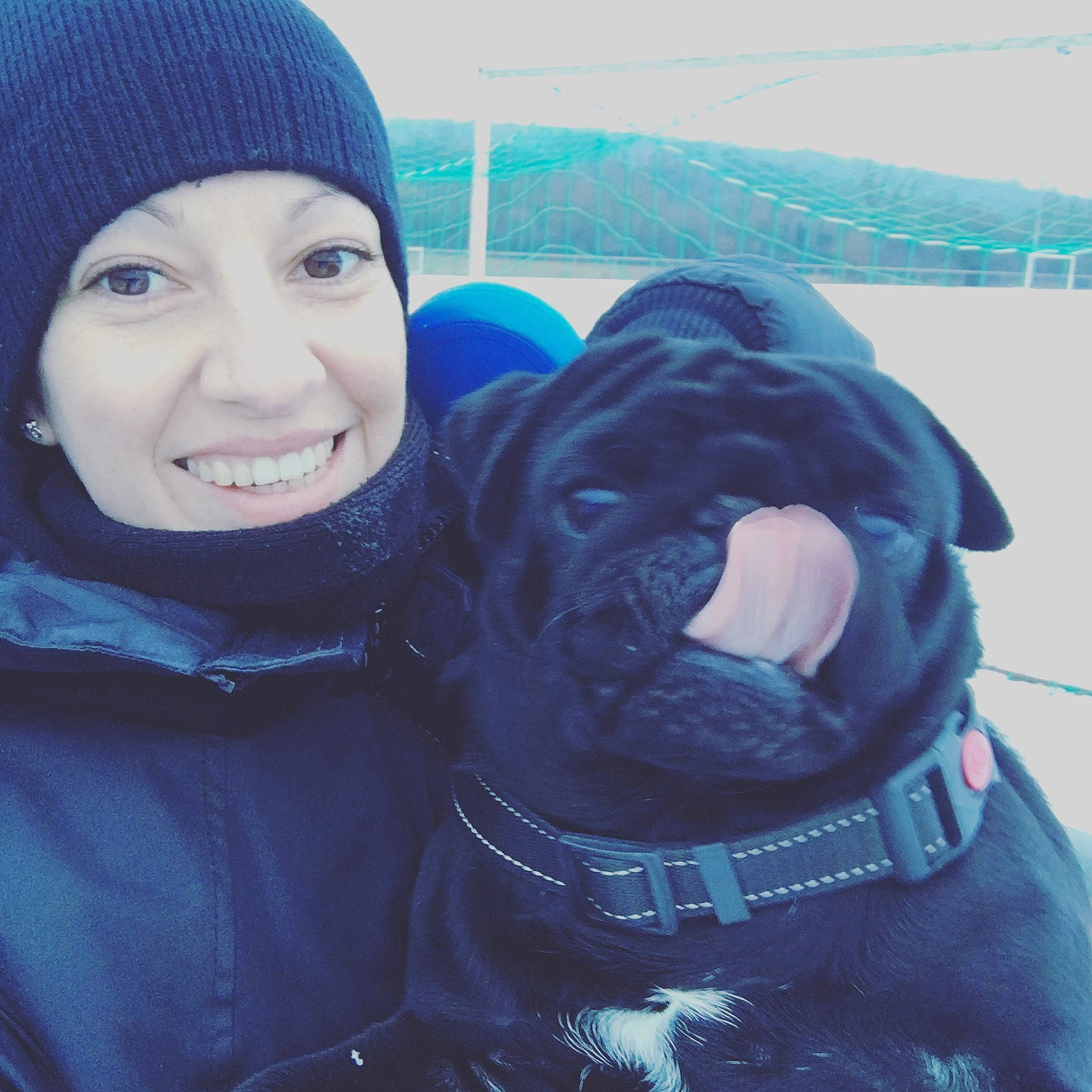 Gandhi a rejoint le concours — aidez-le/la à gagner de superbes lots ! cane_corso, canidae, carnivore, cheek, companion_dog, cool, dog, dog_breed, jacket, non_sporting_group, nose, photography, puppy_love, selfie, smile, snout, sporting_group