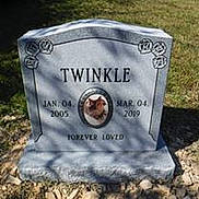Twinkle is registered to the contest to win money with this photo: grave, headstone, memorial, nonbuilding_structure, rock, soil, yard