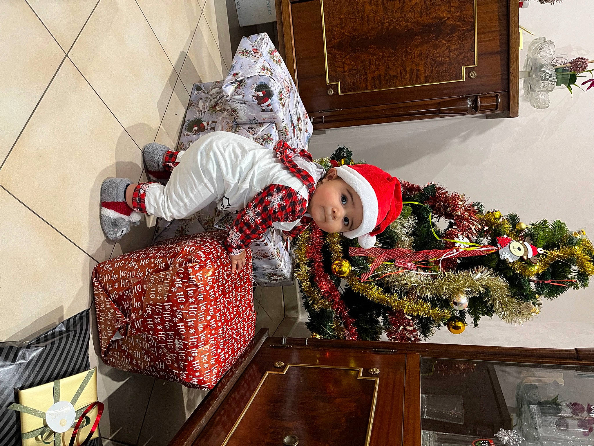 Nathan a rejoint le concours — aidez-le/la à gagner de superbes lots ! carmine, christmas, christmas_decoration, christmas_eve, christmas_ornament, christmas_tree, conifer, event, headwear, holiday, holiday_ornament, houseplant, interior_design, ornament, pattern, person, plant, room, tradition, tree