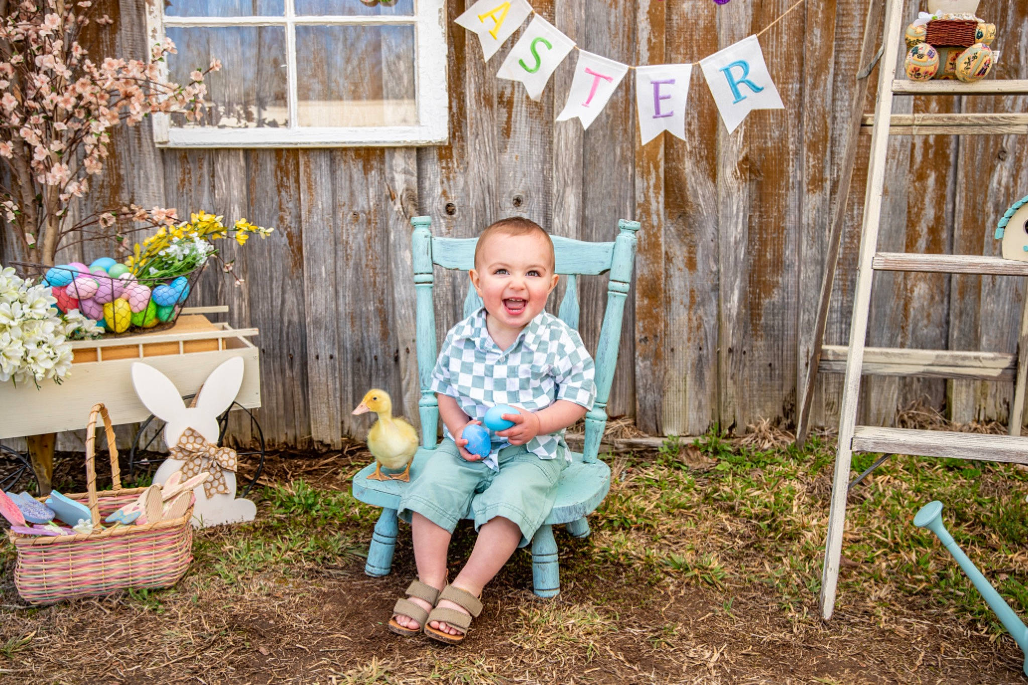 Everett joined the competition — help win amazing prizes! child, event, flower, flowerpot, fun, grass, happy, joy, leaf, leisure, mammal, person, plant, shorts, sitting, smile, summer, t_shirt, toddler, tree