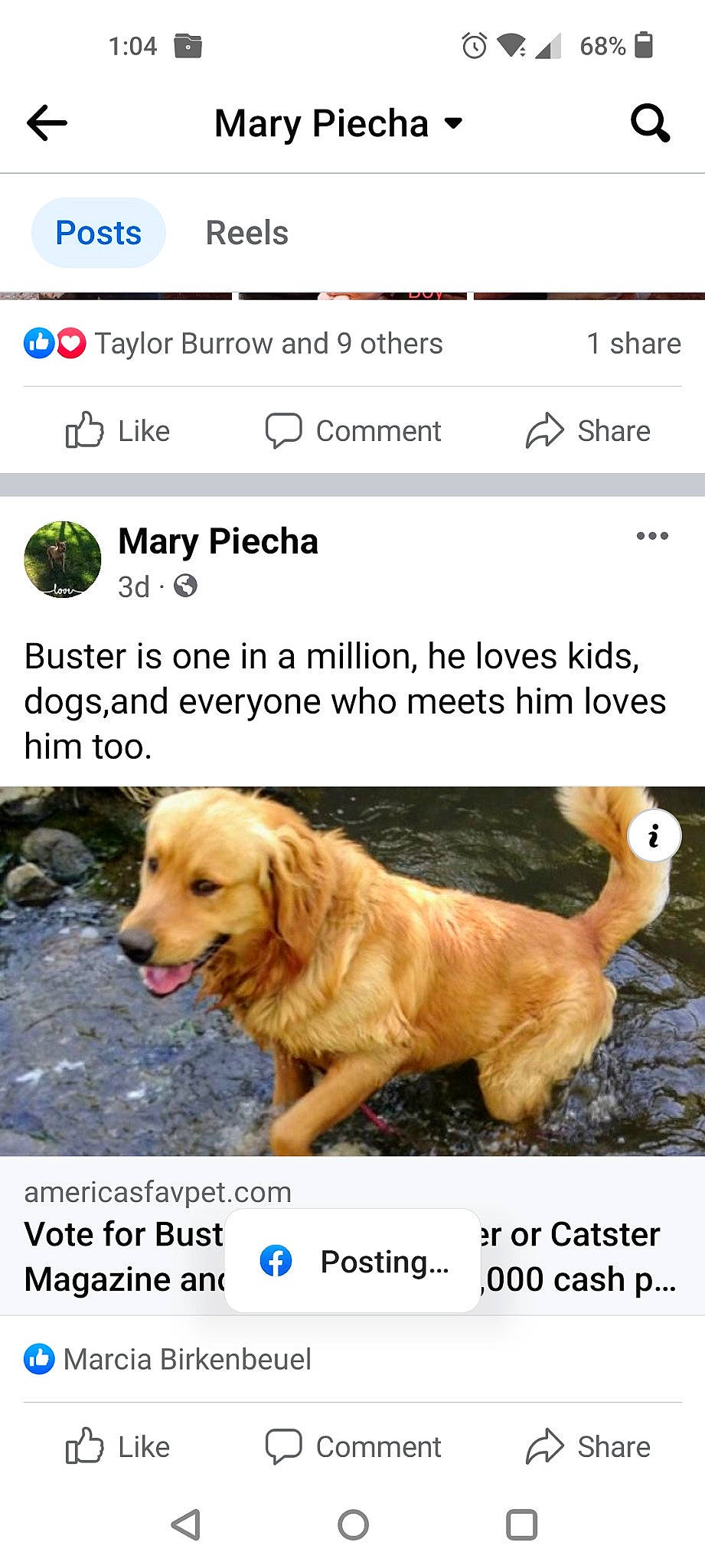 Buster joined the competition — help win amazing prizes! advertising, canidae, carnivore, clock, companion_dog, dog, dog_breed, font, gun_dog, paw, photo_caption, screenshot, sporting_group, working_animal