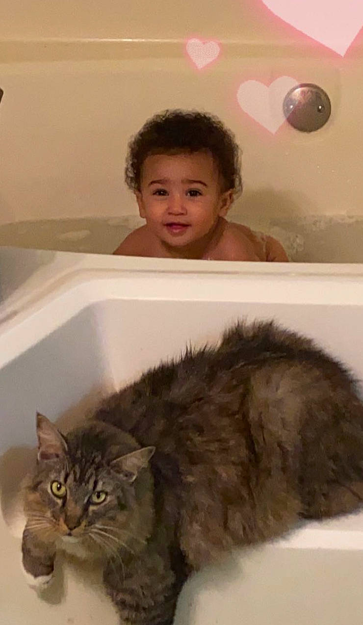 Kyra joined the competition — help win amazing prizes! balloon, bathroom, carnivore, cat, comfort, domestic_short_haired_cat, eye, felidae, fur, hair, head, iris, person, room, skin, small_to_medium_sized_cats, smile, snout, tail, toddler