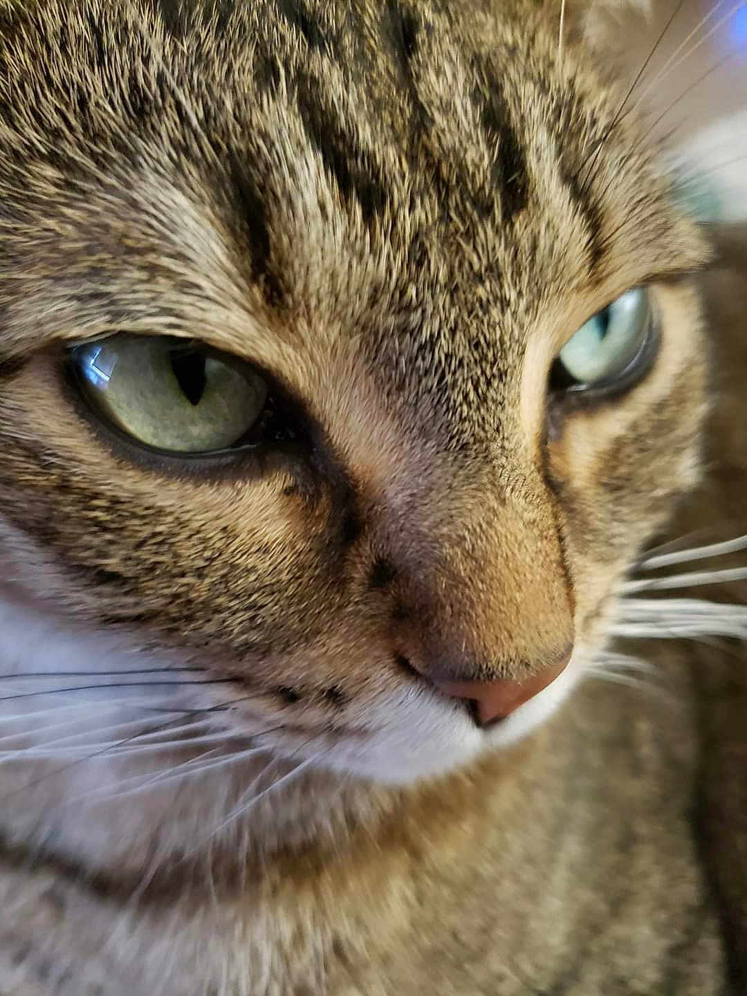 Mindy