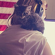 Mini Meow joined the competition — help win amazing prizes! kitten, cat, person, headphones, shoulder, american_flag, indoor, white_shirt, hair, furry, pet, cute, domestic_animal, back_view, soft_light, relaxed, companion, animal, young_cat, cozy