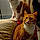 Roxy Et Symba