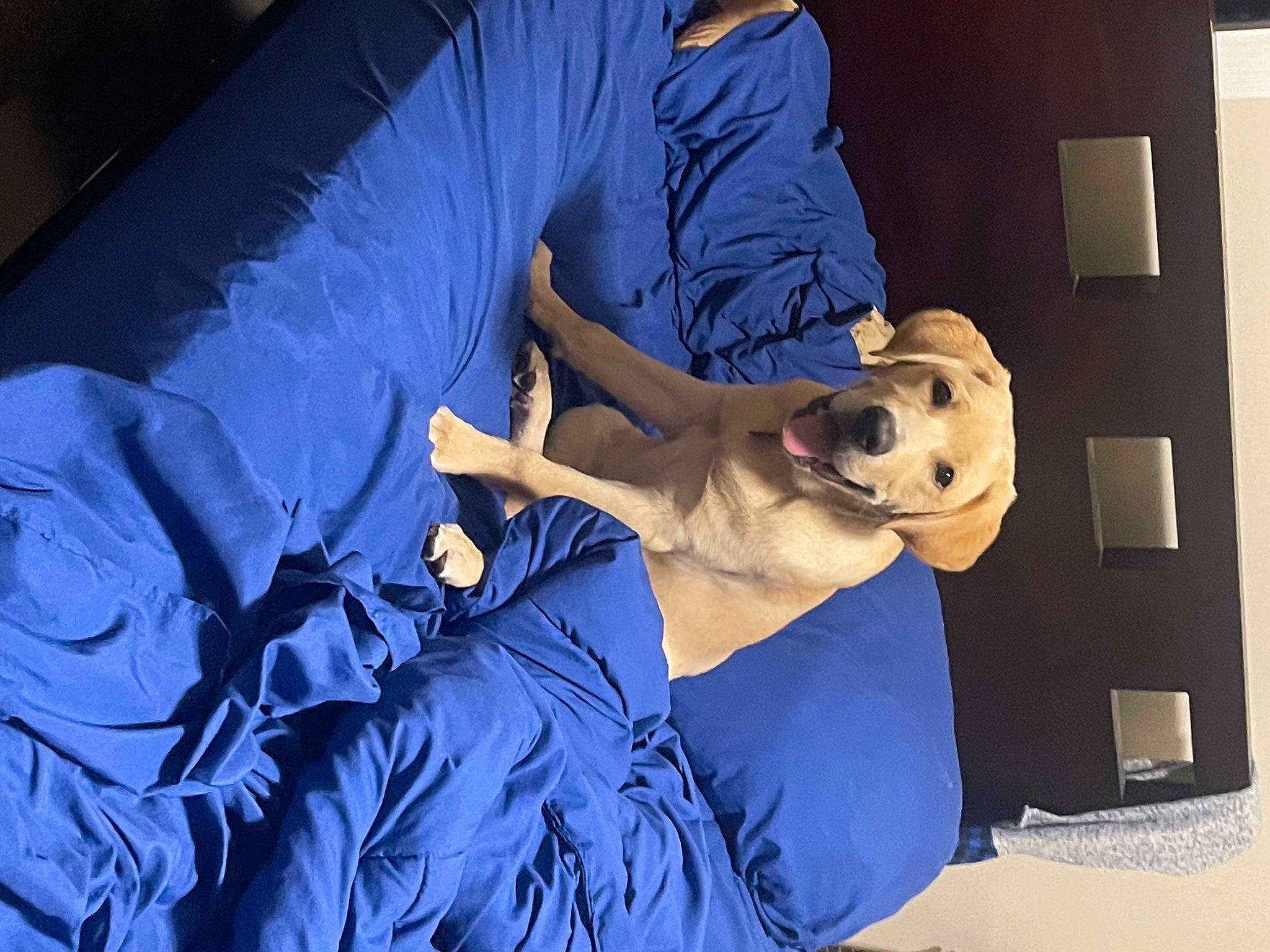 Lacey is registered to the contest to win money with this photo: abdomen, clinic, comfort, elbow, electric_blue, event, health_care, health_care_provider, hospital, jaw, knee, medical, medical_assistant, medical_equipment, medical_glove, medical_procedure, patient, purple, room, service