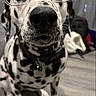 dalmatian, dog, glasses, close_up, black_and_white, pet, indoor, floor, collar, curious, animal, portrait, muzzle, whiskers, ears, brown_eyes, spots, sitting, household, background_blur