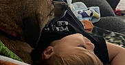 Mj joined the competition — help win amazing prizes! child, dog, couch, blanket, relaxing, indoor, resting, comfort, sleeping, pet, home, cozy, casual, toddler, furniture, blanket_pattern, soft_light, window_blinds, paw, clothing