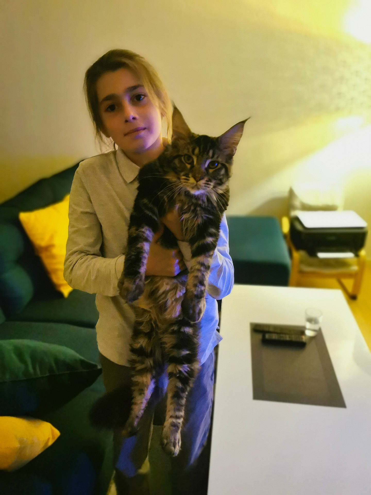 Xanas participe au concours pour gagner de l'argent avec cette photo : adult, animal, architecture, building, cat, couch, cushion, electronics, face, female, furniture, head, homedecor, indoors, livingroom, person, pet, room, table, woman