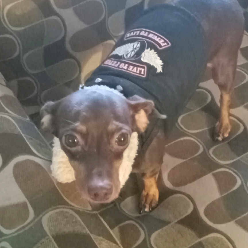 Roxy