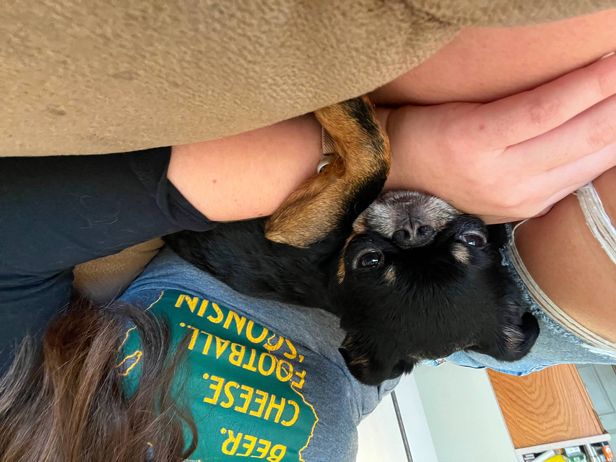 India is registered to the contest to win money with this photo: bat, canidae, dog_breed, fawn, felidae, finger, fur, gesture, hand, human_leg, nail, sleeve, small_to_medium_sized_cats, snout, soil, terrestrial_animal, thumb, wildlife_biologist, working_animal, wrist