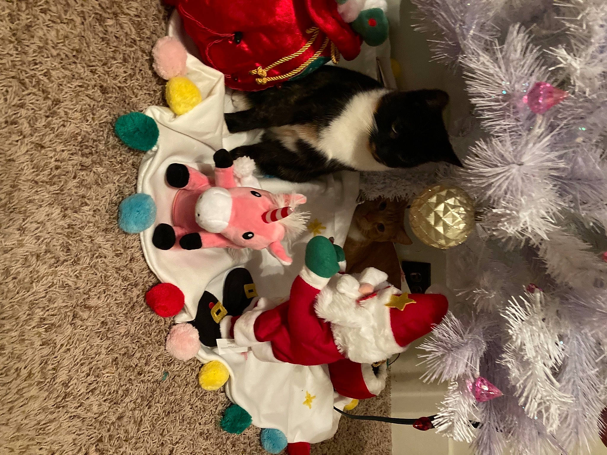 Bea is registered to the contest to win money with this photo: carmine, carnivore, christmas, christmas_decoration, christmas_tree, costume_accessory, felidae, fur, natural_material, pet_supply, small_to_medium_sized_cats, stuffed_toy