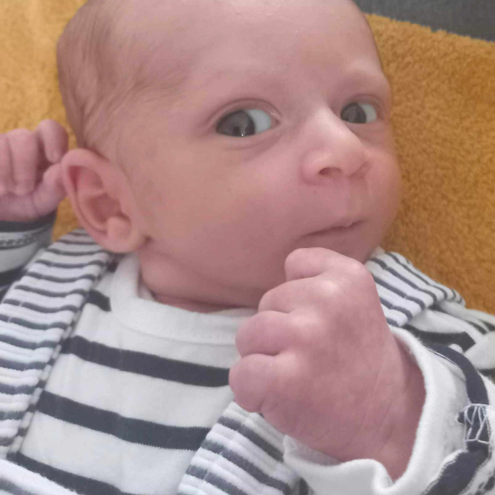 Nael participe au concours pour gagner de l'argent avec cette photo : baby, blanket, closeup, clothing, curious, cute, expression, face, fist, hand, head, indoors, infant, lying_down, newborn, person, portrait, skin, striped_clothing, young_child
