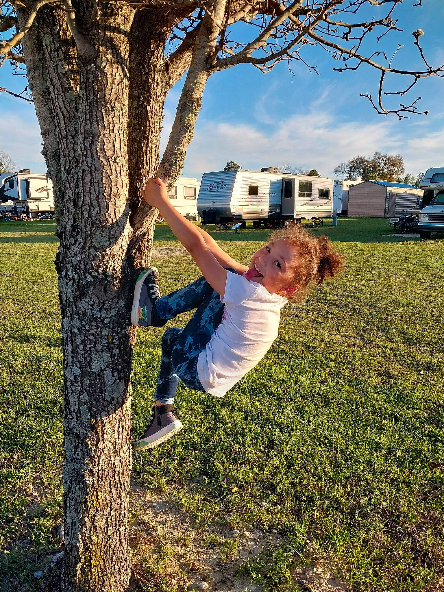 Kaylee is registered to the contest to win money with this photo: cloud, daytime, fun, gesture, grass, grassland, happy, lawn, leisure, meadow, nature, people_in_nature, person, plant, recreation, sky, tree, truck, trunk, wood