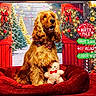dog, golden_retriever, plush_toy, gingerbread_man, christmas_tree, wreath, red_bed, holiday_decor, snowman, gift_box, string_lights, festive, bow_tie, red_door, winter, indoor, celebration, decoration, canine, seasonal