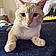 Casper