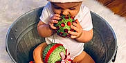 Bianca joined the competition — help win amazing prizes! baby, cap, child, christmas, fictional_character, food, fruit, plant, sweetness