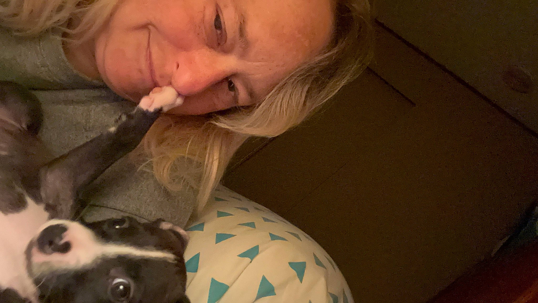 Dixie May joined the competition — help win amazing prizes! ball, blond, carnivore, companion_dog, dog, dog_breed, ear, eyelash, fawn, felidae, fur, kitchen_utensil, lip, nail, nose, organ, skin, smile, snout, whiskers