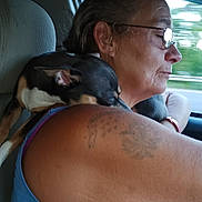Chubby is registered to the contest to win money with this photo: adult, blue_shirt, car_interior, close_up, dog, driving, glasses, headrest, motion_blur, pet, portrait, profile, road, seat, shoulder, small_dog, snuggling, tattoo, window, woman