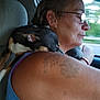 adult, blue_shirt, car_interior, close_up, dog, driving, glasses, headrest, motion_blur, pet, portrait, profile, road, seat, shoulder, small_dog, snuggling, tattoo, window, woman