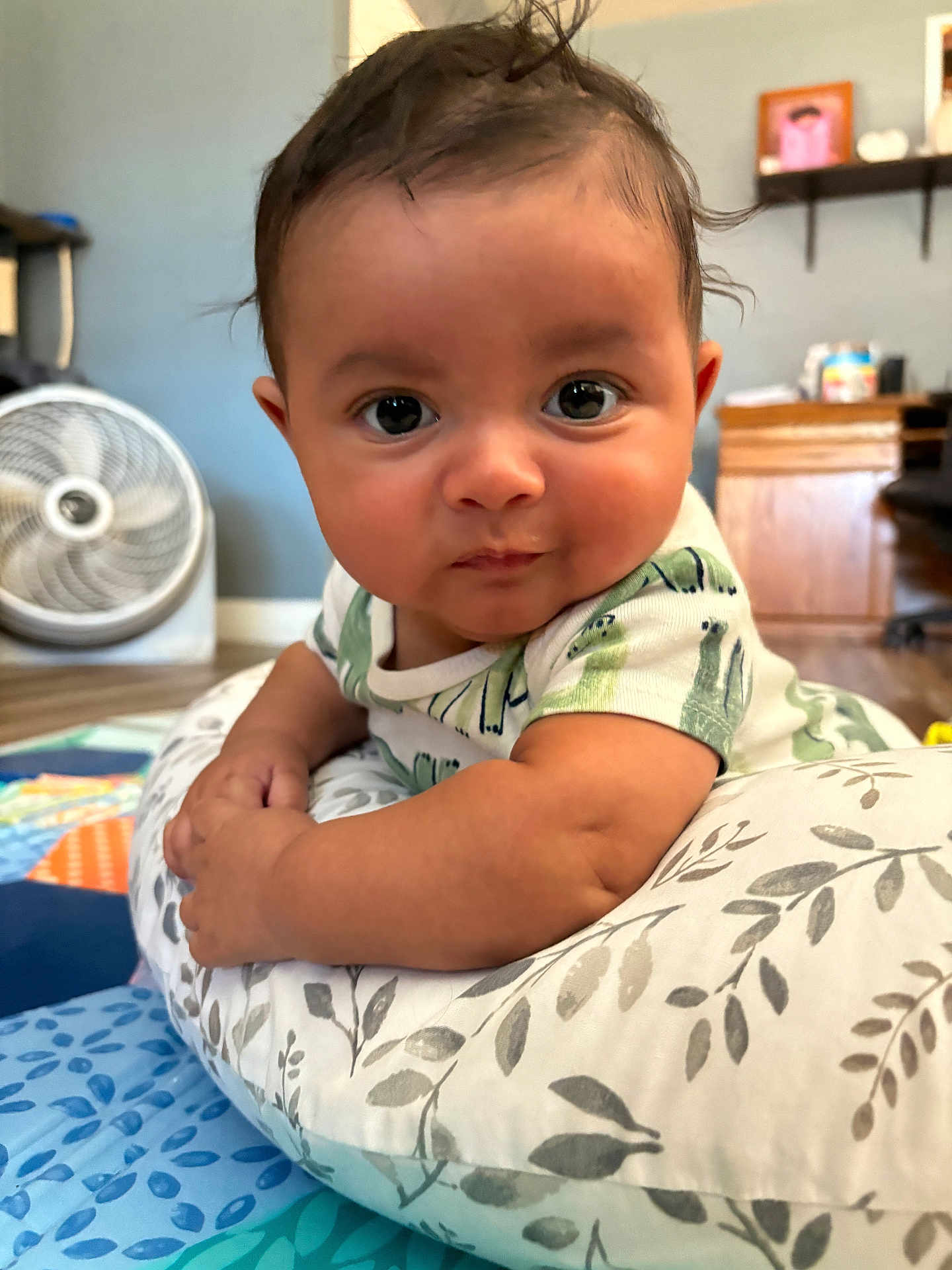Blake is registered to the contest to win money with this photo: baby, infant, face, eyes, pillow, pattern, clothing, indoor, floor, playmat, fan, expression, curious, young_child, skin, arm, head, person, home, couch