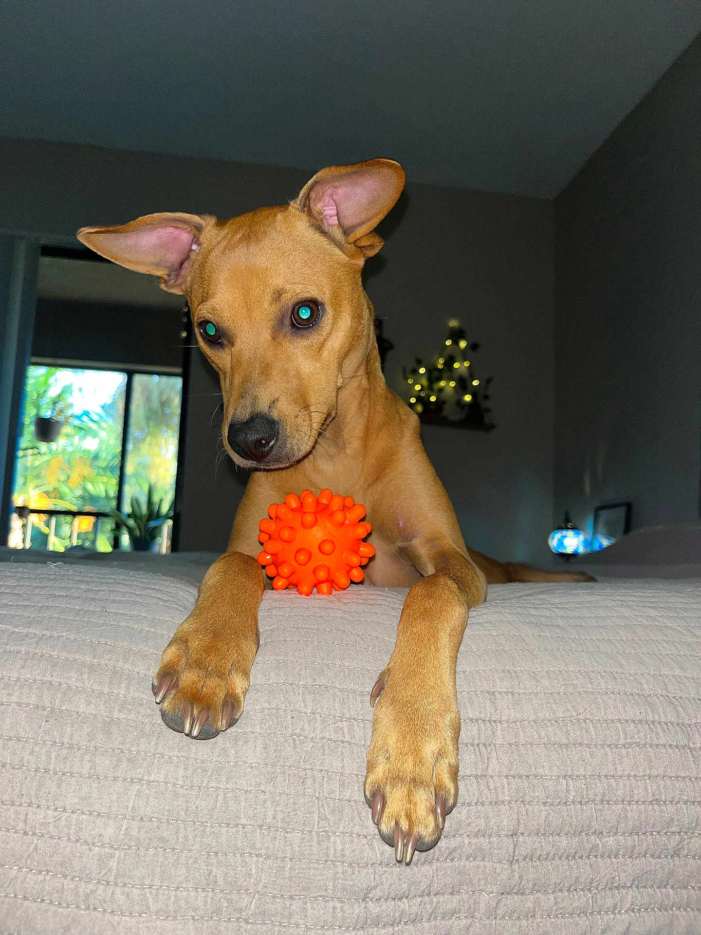 Marley