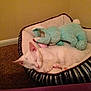 Ranch is registered to the contest to win money with this photo: