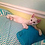 Ranch is registered to the contest to win money with this photo: