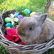 Tux is registered to the contest to win money with this photo: