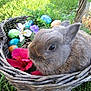 Tux is registered to the contest to win money with this photo: